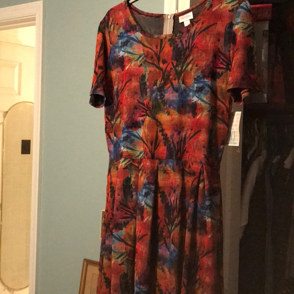 Lularoe Amelia